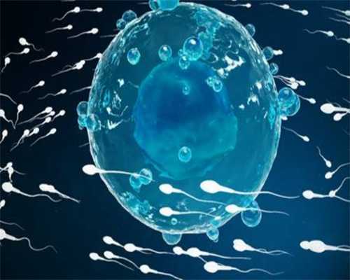 排卵障碍、供卵试管生殖药商义诊