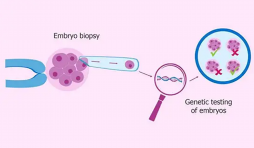 合肥供卵安全吗？江淮大地的供卵安全访谈